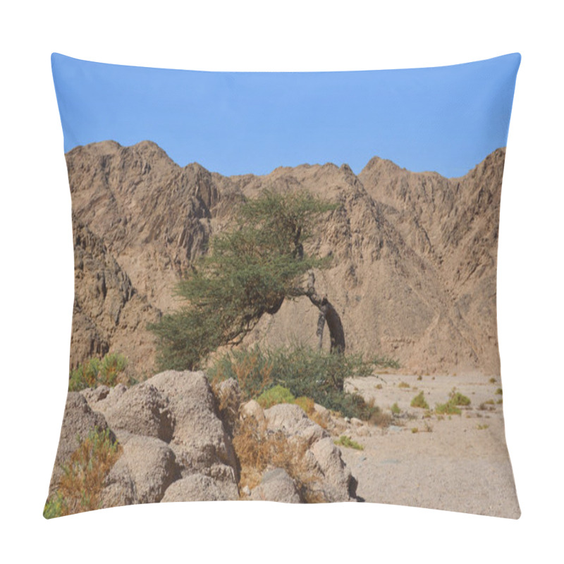 Personality  Lonely Tree In The Desert Pillow Covers