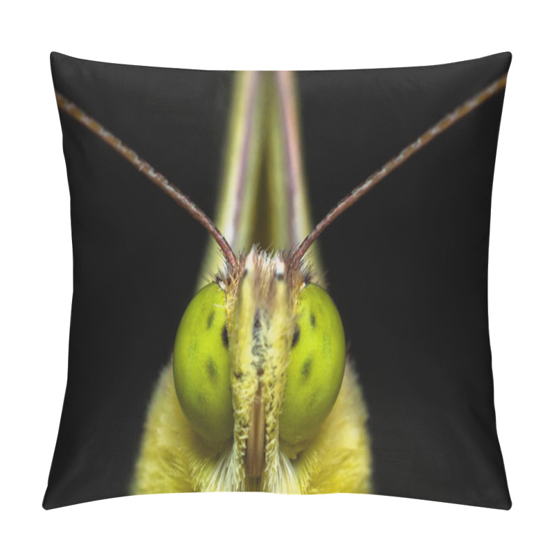 Personality  Closeup Of Insects, Butterflies, Dragonflies, Grasshoppers, Mantis,ladybug Pillow Covers