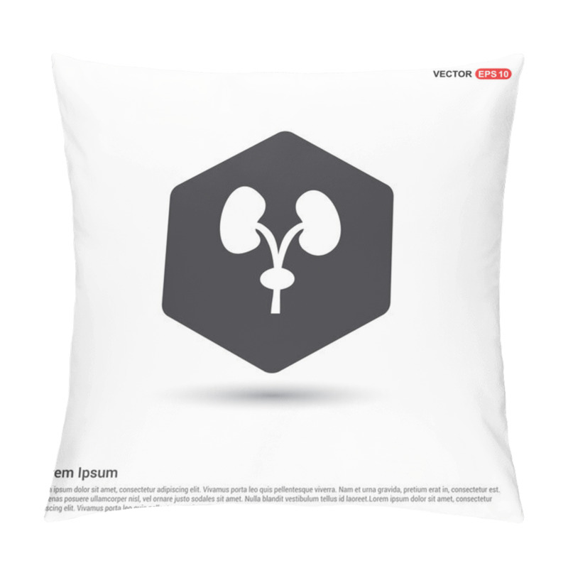 Personality  Urinary System Icon Pillow Covers