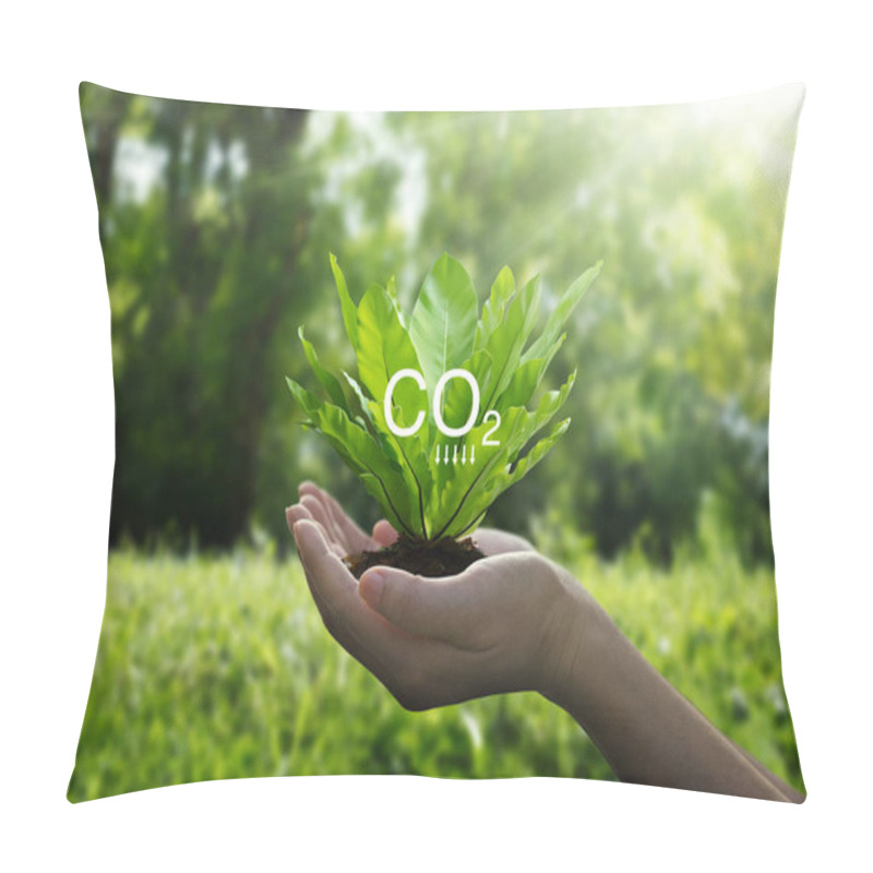 Personality  Reduce CO2 Emission Concept, Sustainable Development And Green Based On Renewable Can Limit Climate Change And Global Warming, Ecology, Earth Day. Pillow Covers