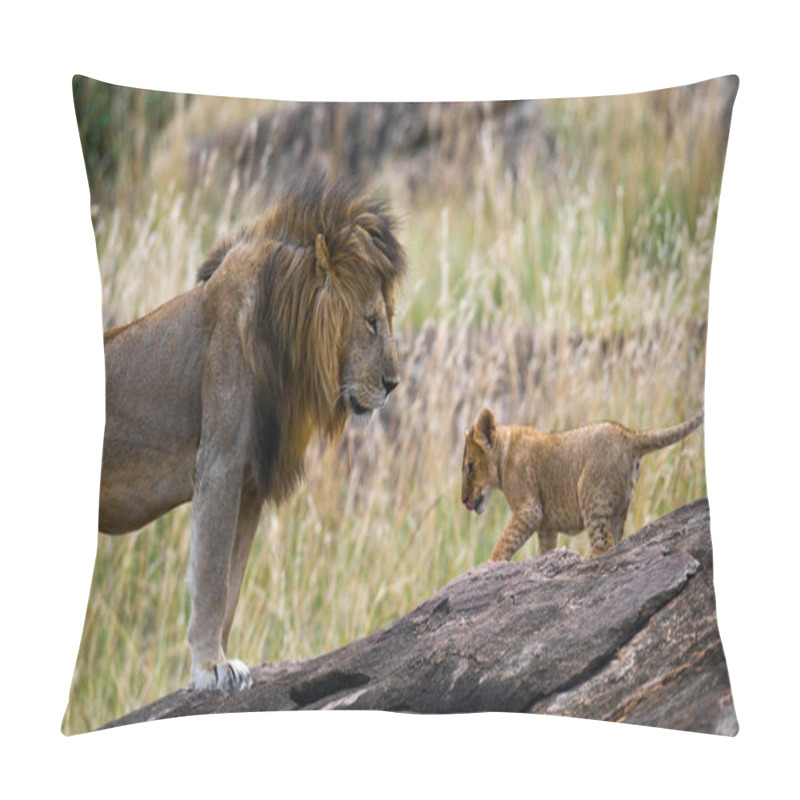 Personality  Big Lion With Lion Cub Pillow Covers