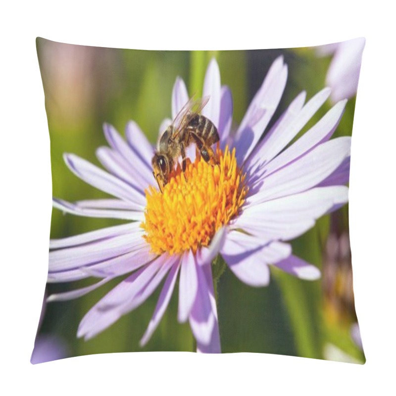 Personality  Detail Of Bee Or Honeybee In Latin Apis Mellifera, European Or Western Honey Bee Sitting On The Yellow Violet Purple Or Blue Flower Pillow Covers