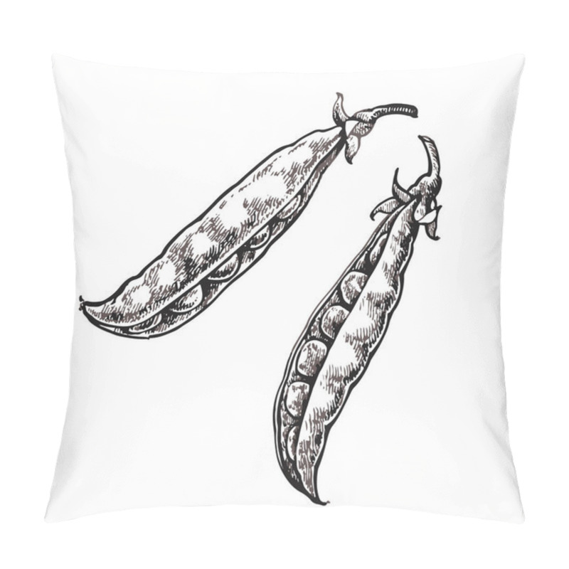 Personality  Hand Drawn Sketch Peas. Organic Food Illustration Isolated On White Background. Pillow Covers