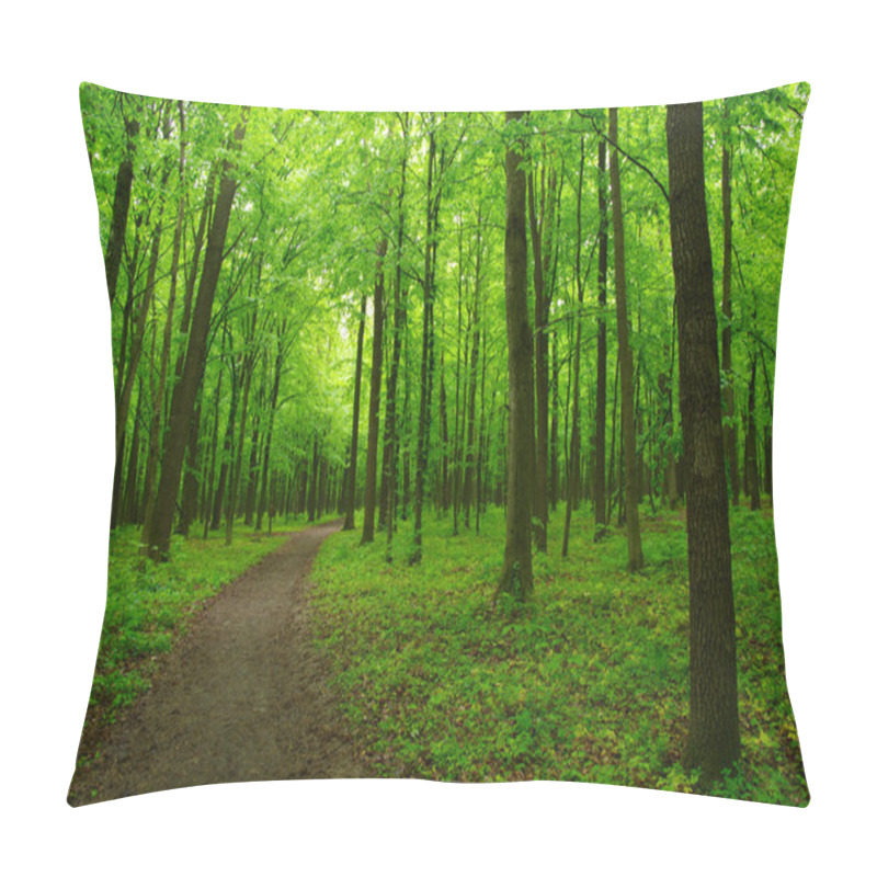 Personality  Beautiful Green Forest  Pillow Covers