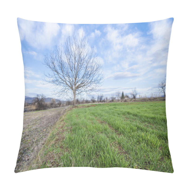 Personality  Single Tree With No Leaves On Green Grass Pillow Covers