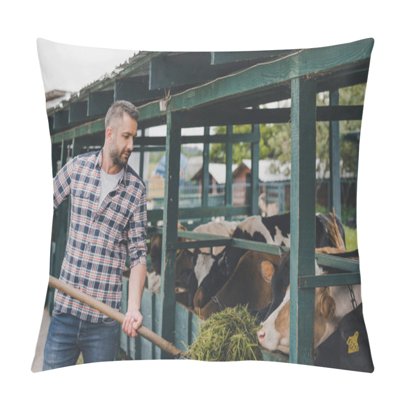 Personality  Middle Aged Farmer In Checkered Shirt Feeding Cows With Grass At Ranch  Pillow Covers