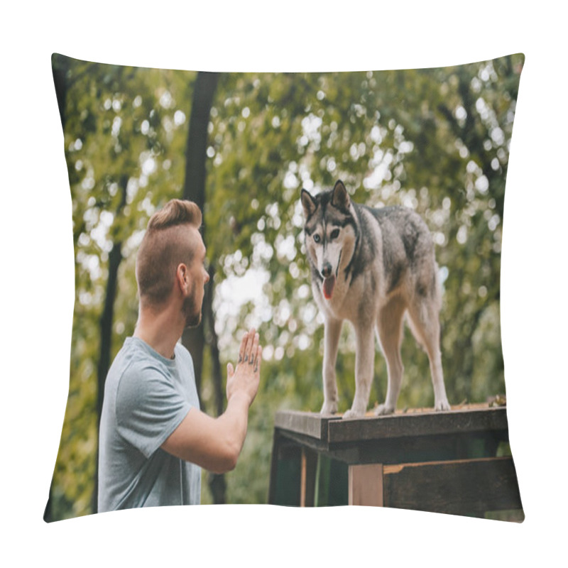 Personality  Cynologist Gesturing Command To Husky Dog On Obstacle Pillow Covers