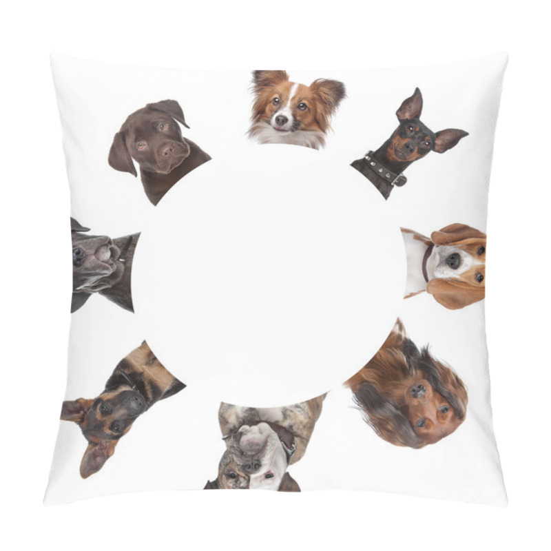 Personality  Group Of Dog Portraits Around A Circle Pillow Covers