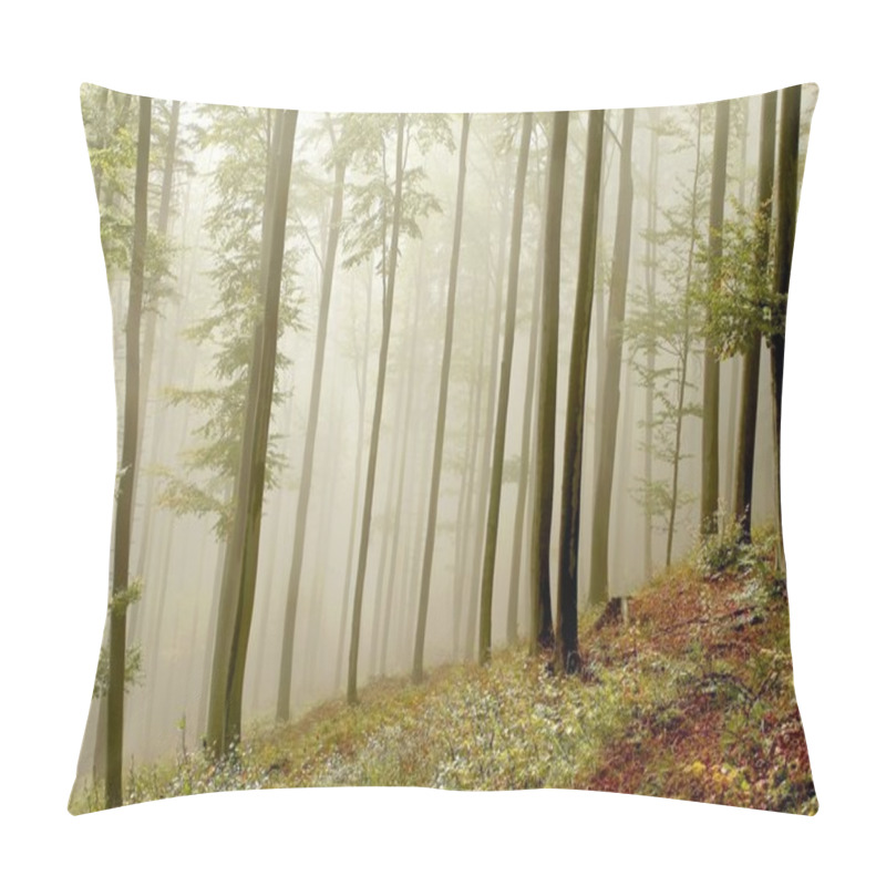 Personality  Picturesque Beech Forest Pillow Covers