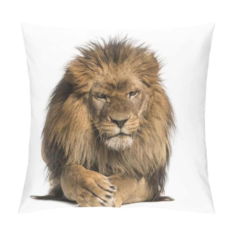 Personality  Front View Of A Lion Lying, Crossing Paws, Panthera Leo, 10 Year Pillow Covers