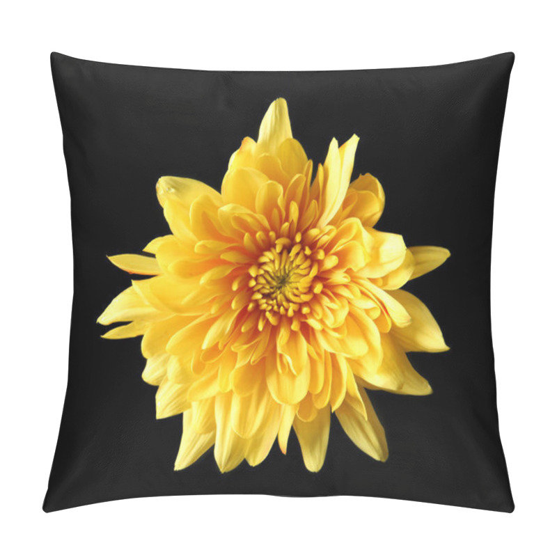 Personality  Yellow Daisy Flower  Pillow Covers