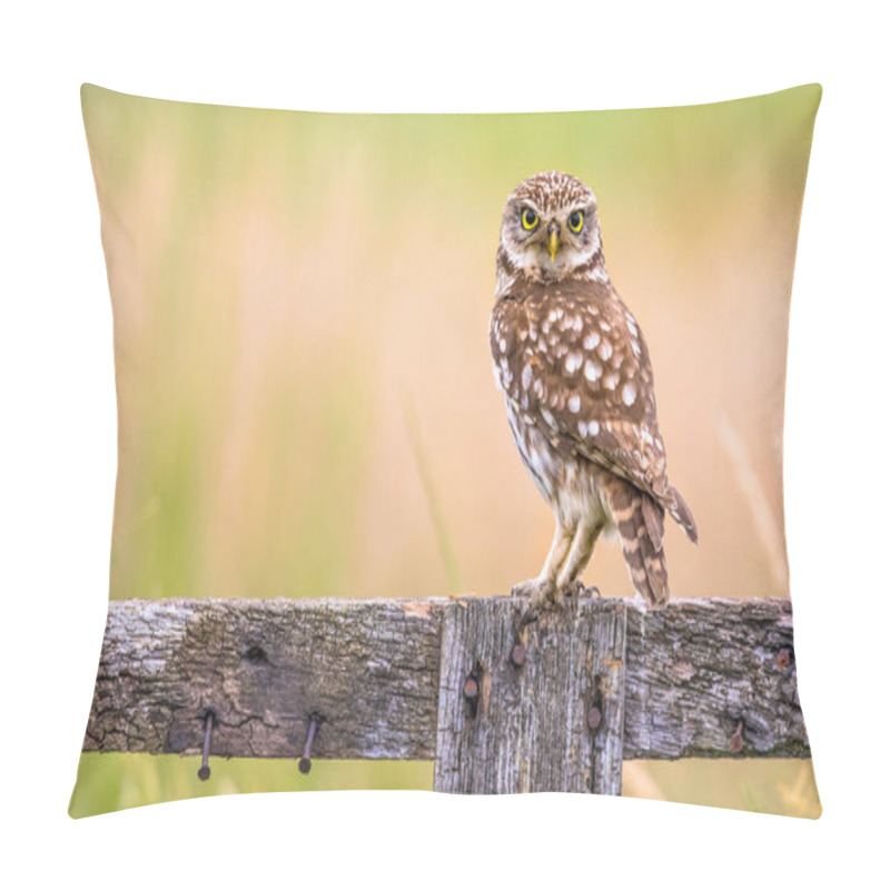 Personality  Little Owl Perched On Log Pillow Covers