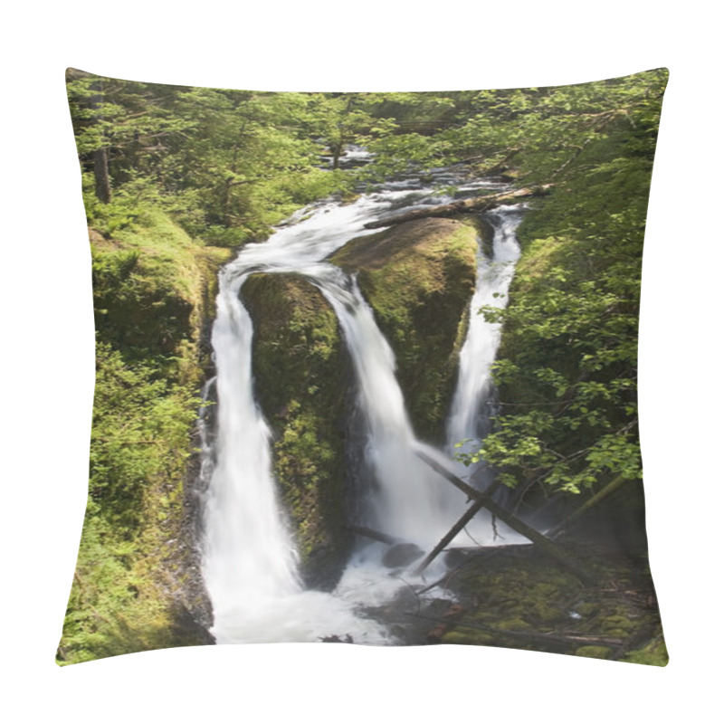 Personality  Ainsworth Hiking Trail In Oregon, USA. Pillow Covers