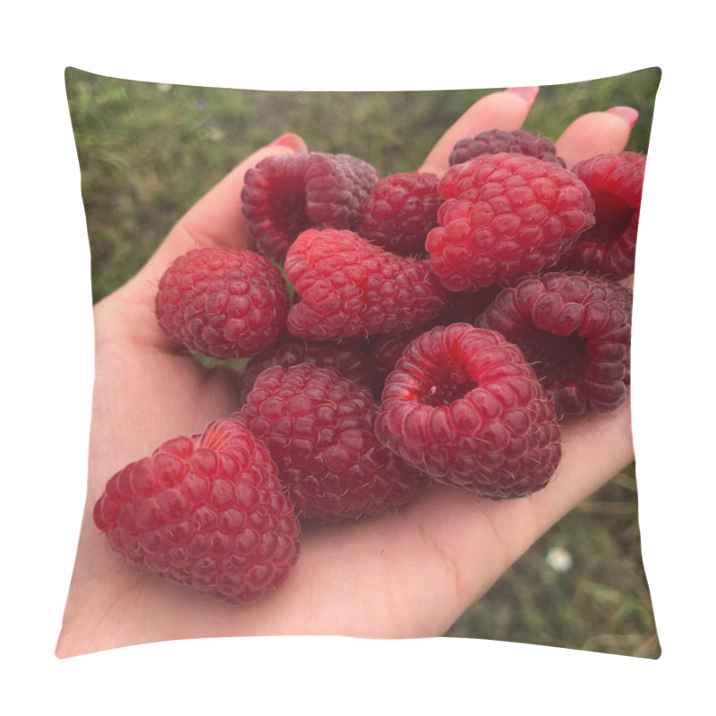 Personality  A Handful Of Ripe Raspberries Filled In A Woman's Hand On A Background Of Soil Pillow Covers