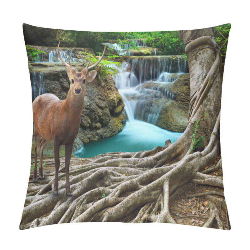 Personality  Sambar Deer Standing Beside Bayan Tree Root In Front Of Lime Sto Pillow Covers