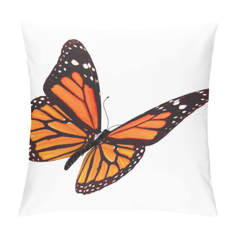 Personality  Butterfly Pillow Covers