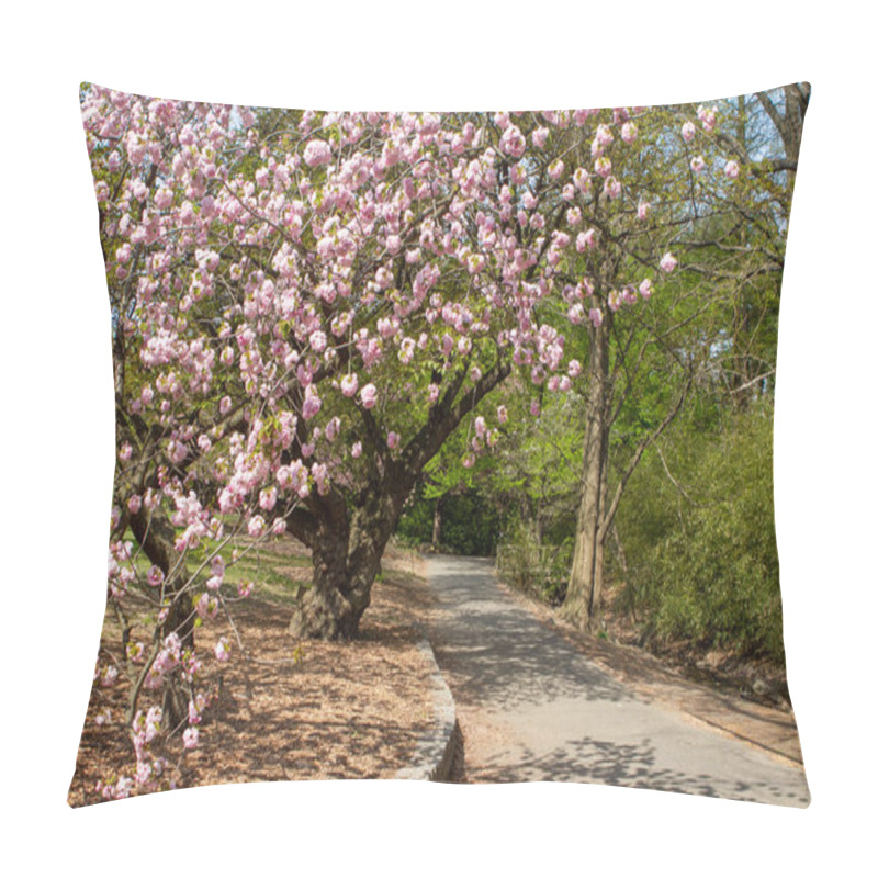 Personality  Cherry Blossoms Along A Path In A Park Pillow Covers