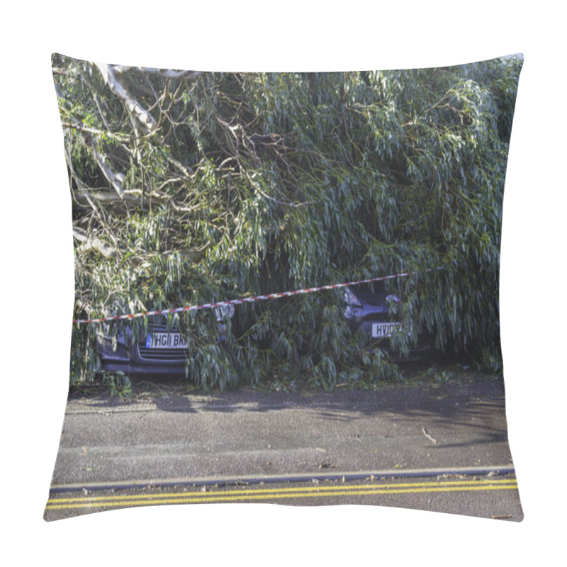 Personality  BOURNEMOUTH ENGLAND UK  FEBRUARY 19: Storm Eunice Large Tree Fallen Crushing Two Cars, Registration Plates Showing, Landscape, On February 19 2022 In Bournemouth, Dorset Pillow Covers