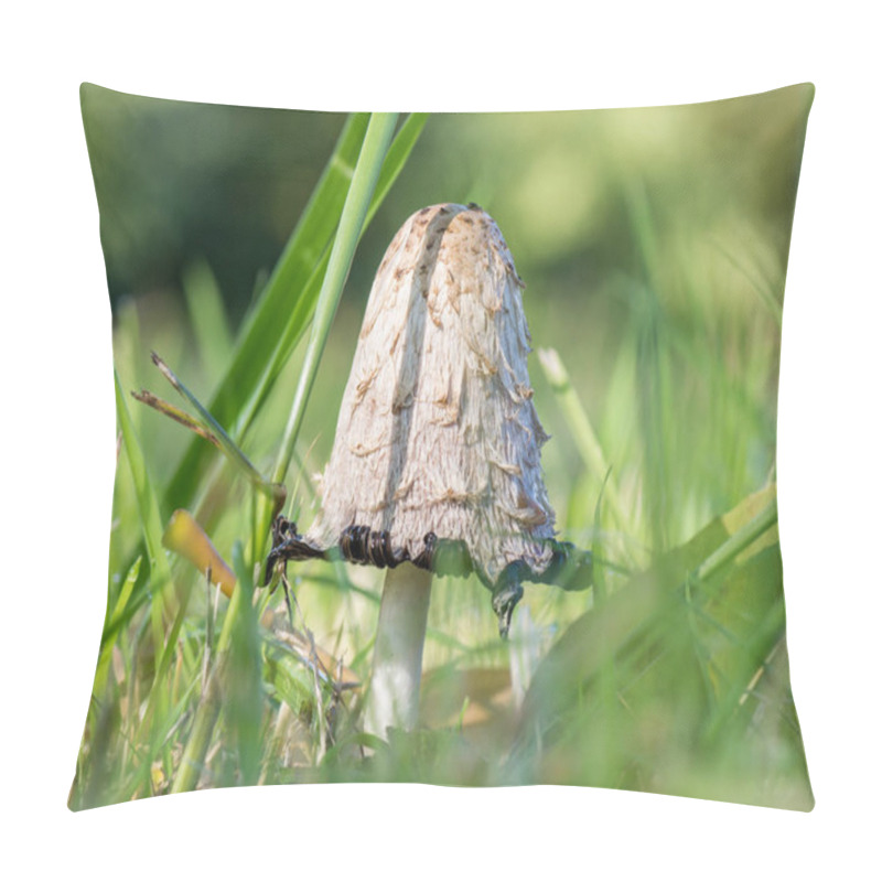 Personality  Coprinus Comatus Mushroom Growing In Greenery Pillow Covers