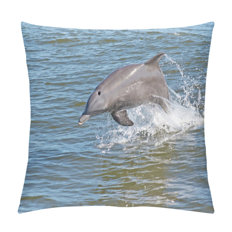 Personality  Dolphin Pillow Covers