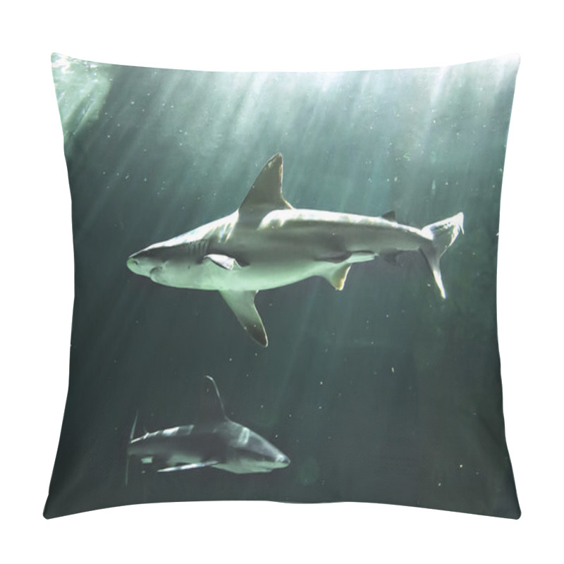 Personality  Huge Bull Shark Swimming Pillow Covers