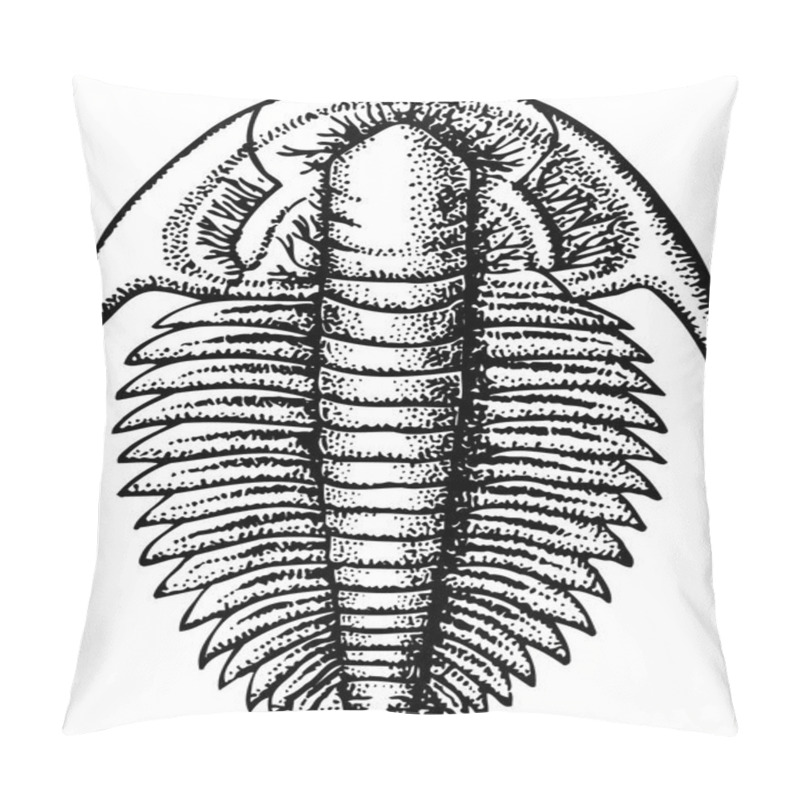 Personality  Black And White Vector Illustration Of Trilobite Isolated On White Background Pillow Covers