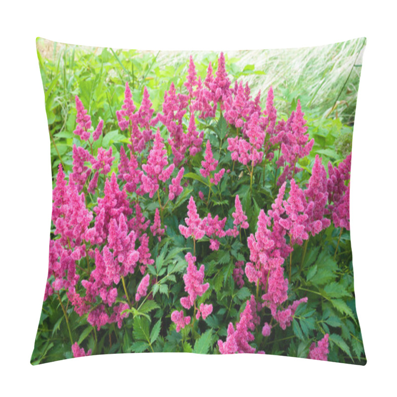 Personality  Pink Astilbe (False Spirea), Copy Space, Horizontal Pillow Covers