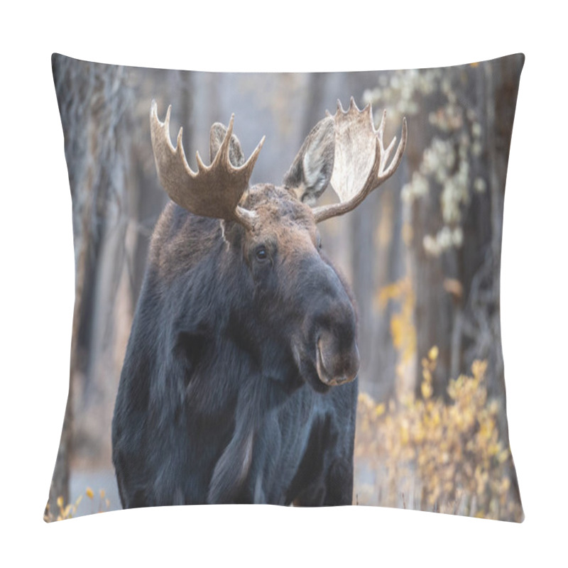 Personality  Large Bull Elk In The Woods In Grand Teton National Park Pillow Covers