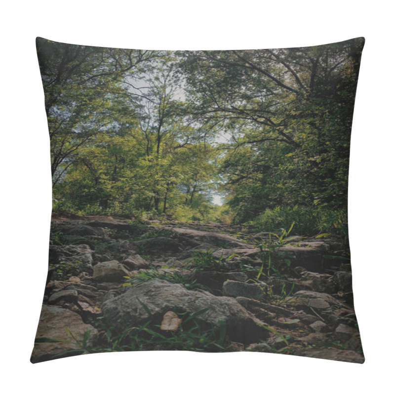 Personality  A Rocky Hiking Trail In The Forest, Captured From Ground Level. Medium-sized Rocks Line The Dirt Path, Surrounded By Lush Green Trees, Creating A Rugged Yet Serene Outdoor Scene Pillow Covers