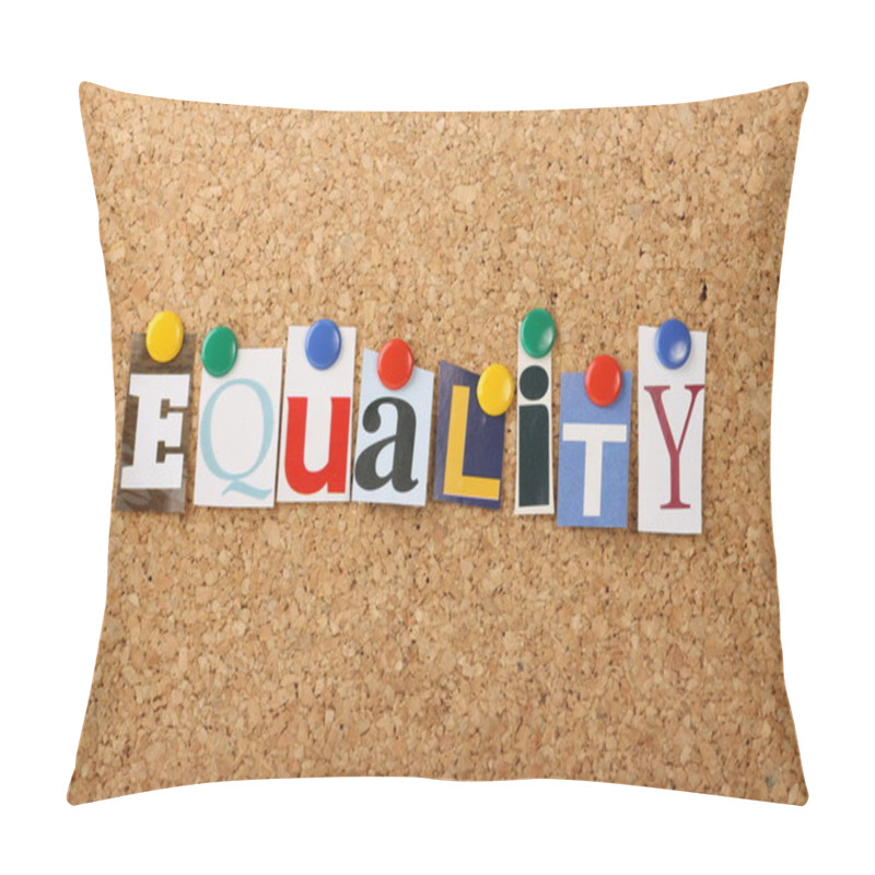 Personality  The Word Equality Pillow Covers