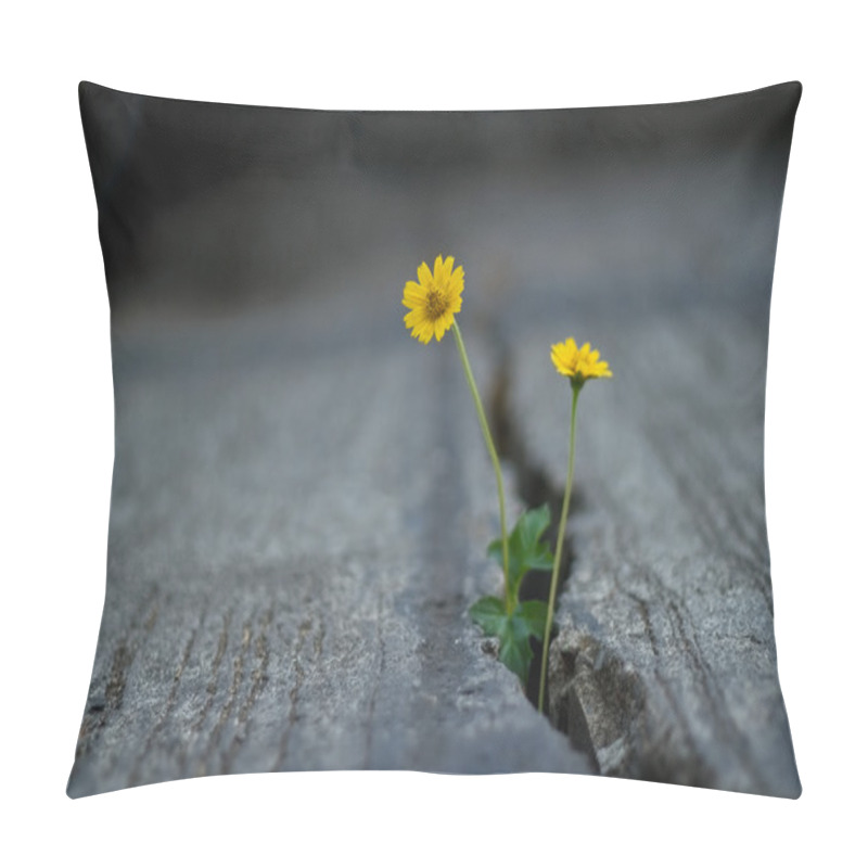 Personality  Yellow Flowers In Cement Cracked Street Pillow Covers