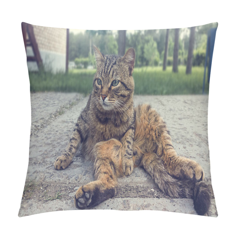 Personality  Puss Without Boots Pillow Covers