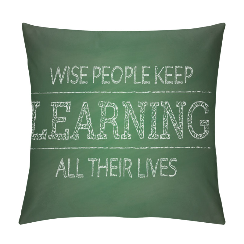 Personality  Motivational Poster About Learning On The Green Chalkboard Background Pillow Covers