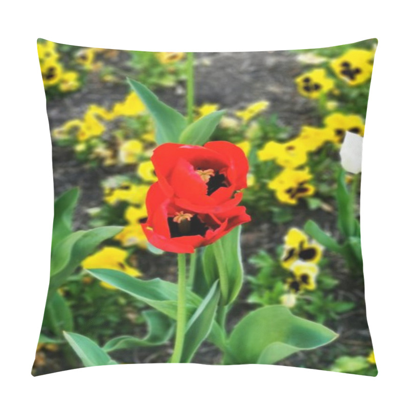 Personality  A Pair Of Striking Red Tulips Stand Out Against A Backdrop Of Yellow Pansies, Signaling The Arrival Of Spring. Bees Can Be Seen Visiting The Blossoms. Pillow Covers