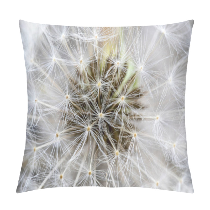 Personality  Fluffy Dandelion In Close Up With Seeds Pillow Covers