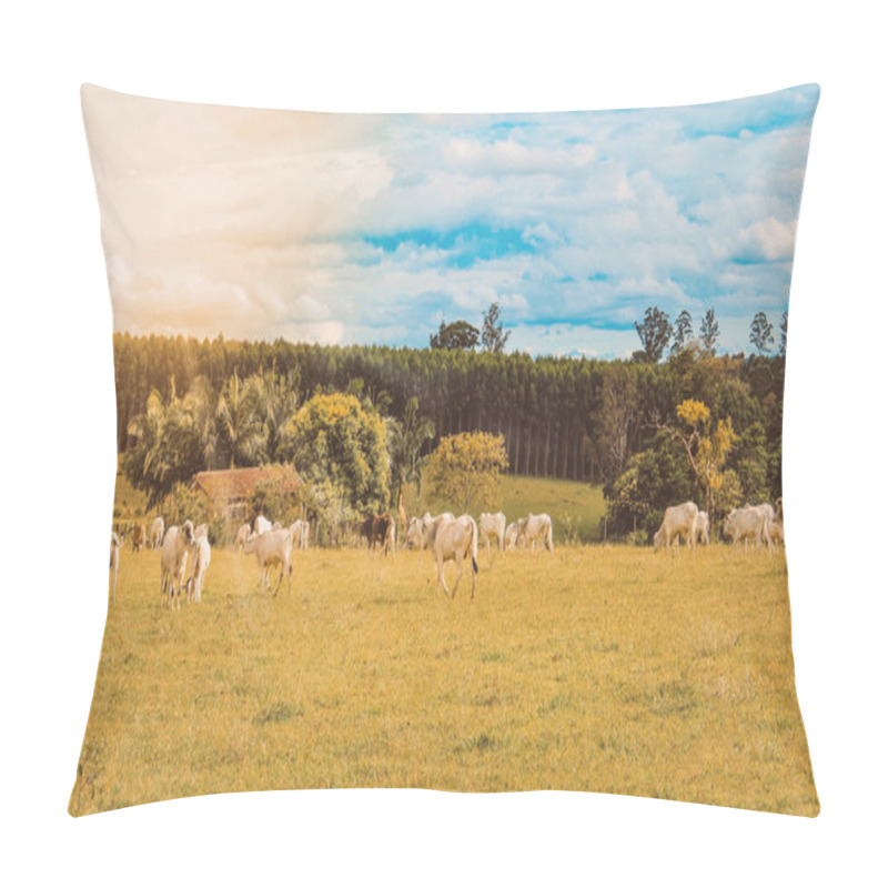 Personality  Cattle On Confinement In Farm On Brazil Pillow Covers