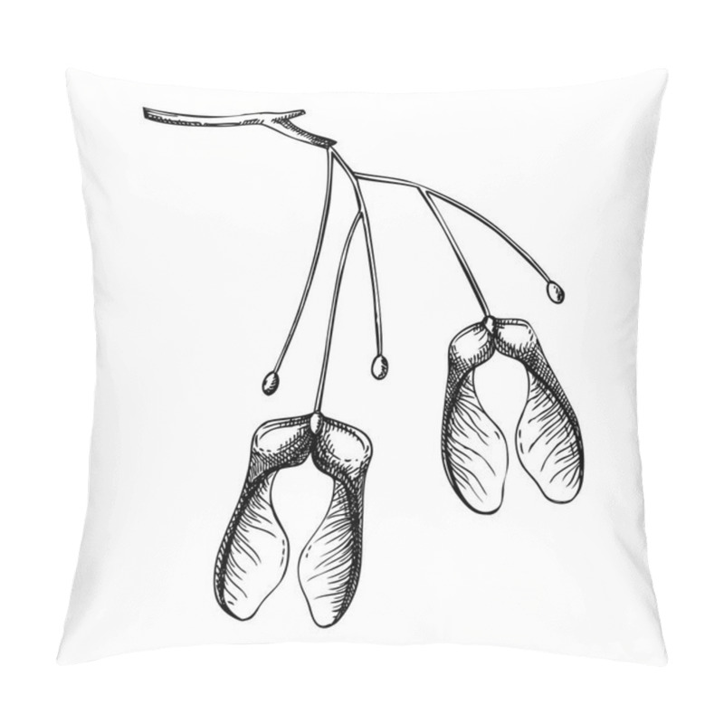 Personality  Decorative Autumn Leaf Sketch. Maple Tree Seeds Sketch. Hand Drawn Botanical Element In Sketched Style. Fall Leaves Illustrations.  For Thanksgiving Day Design. Pillow Covers