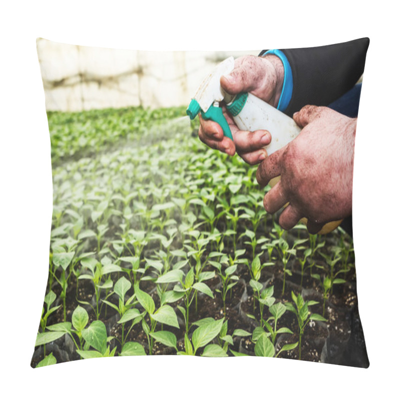 Personality  Close Up In The Hands Of A Man While Spraying The Small Plants I Pillow Covers