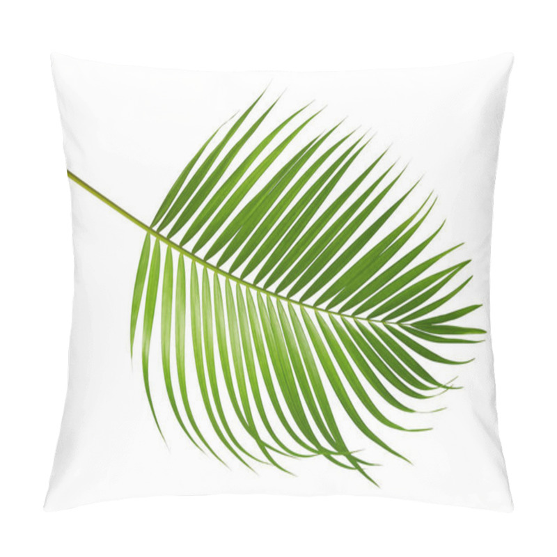 Personality  Yellow Palm Leaves (Dypsis Lutescens) Or Golden Cane Palm, Areca Palm Leaves, Tropical Foliage Isolated On White Background With Clipping Path Pillow Covers