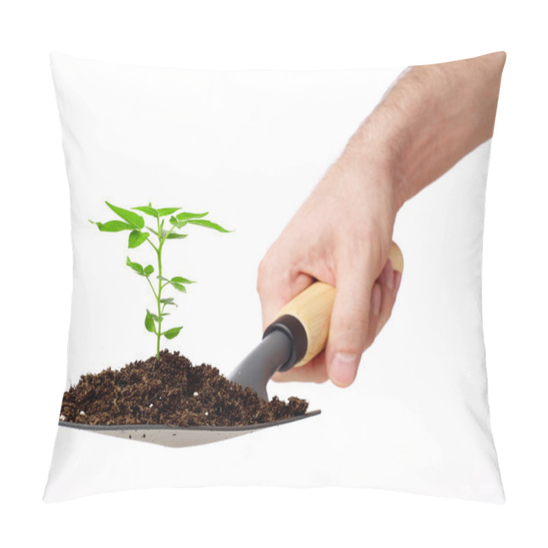 Personality  Growing Tree On White Pillow Covers