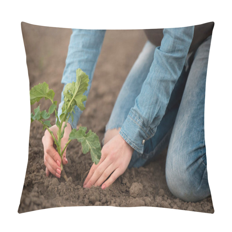 Personality  Female Hands Hold A Sprout Pillow Covers