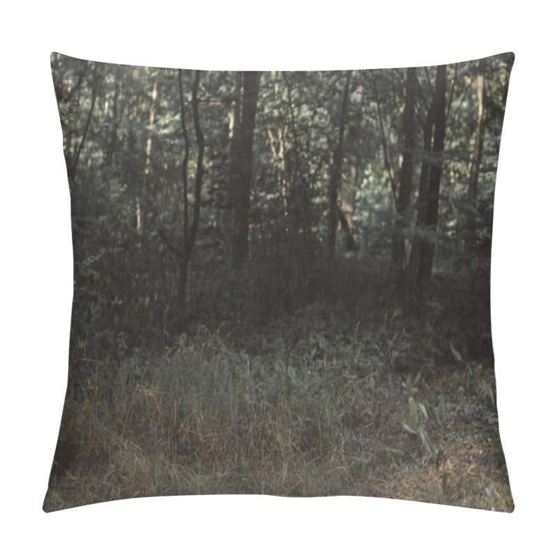 Personality  View Of Dark Green Forest Texture Pillow Covers