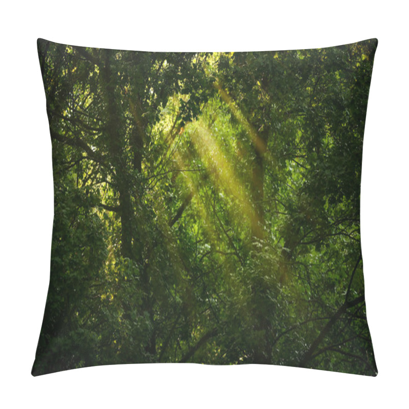 Personality  And Green Forest Pillow Covers