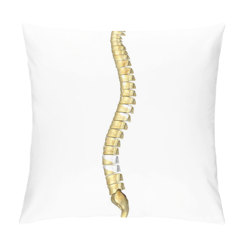 Personality  Back Bone Pillow Covers