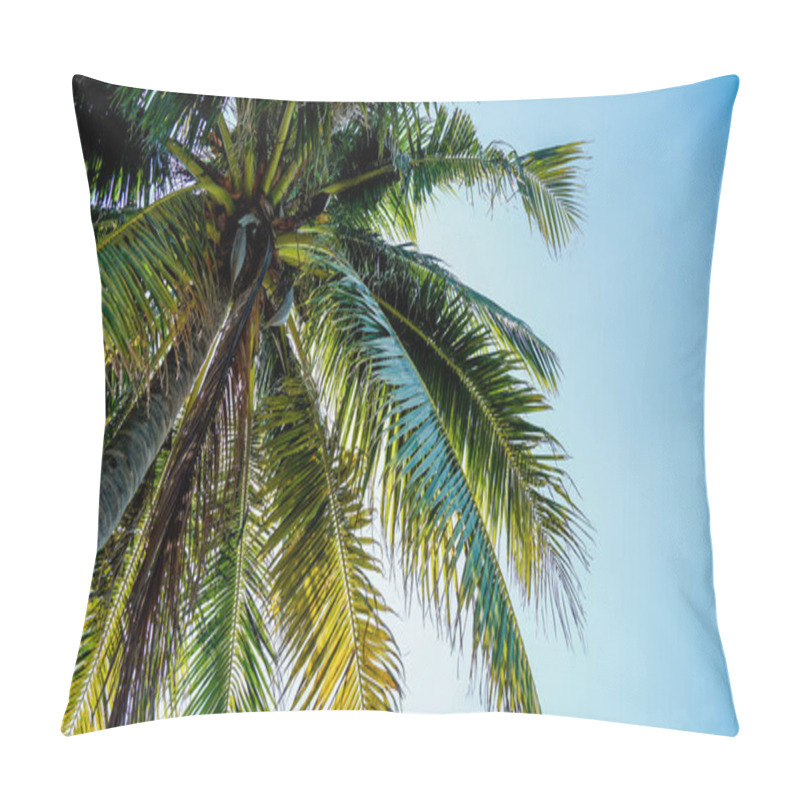 Personality  Leaves Of The Crown Of A Coconut Tree Seen From Below Against Blue Sky. Isolated On The Concept Of Plant And Environmental Sustainability. Clear Blue Sky Background. Pillow Covers