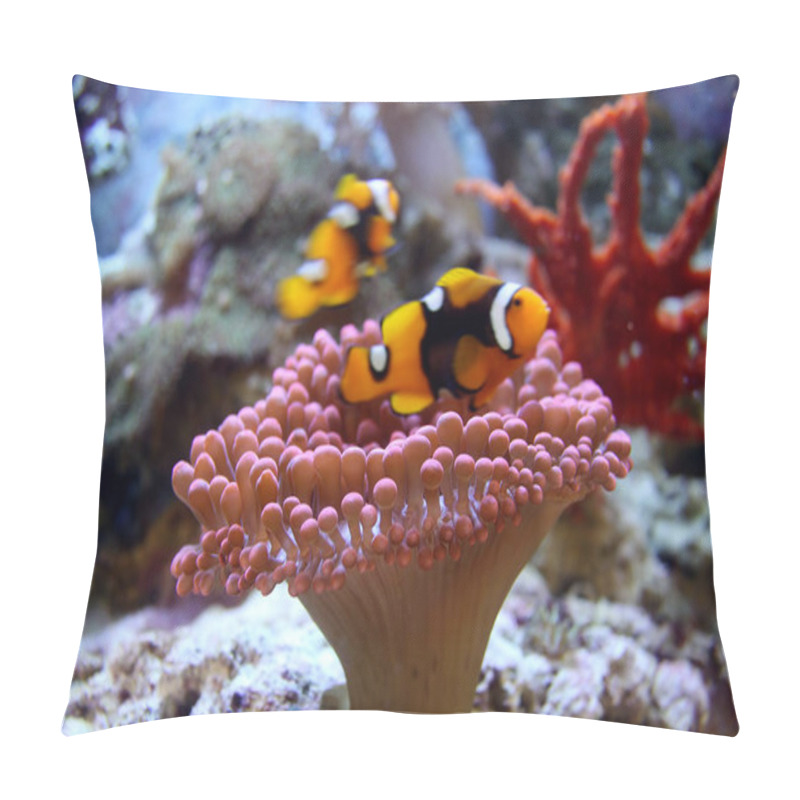 Personality  Clown Fish In Sea Underwater Pillow Covers