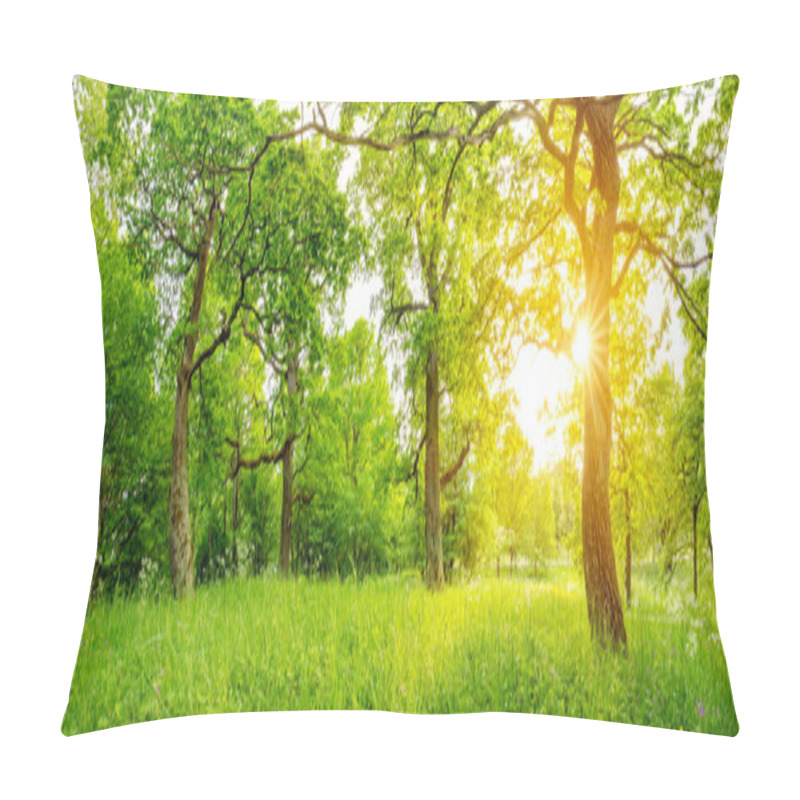 Personality  Beautiful View Of The Natural Park With Old Huge Oaks. Pillow Covers