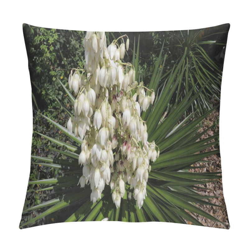 Personality  Spiky Yucca Gloriosa With Sword-shaped Leaves And Large Terminal Panicles Of White Or Whitish Flowers. Pillow Covers