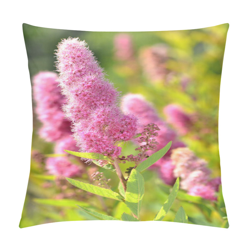 Personality  Pink Klasespirea Flower Pillow Covers