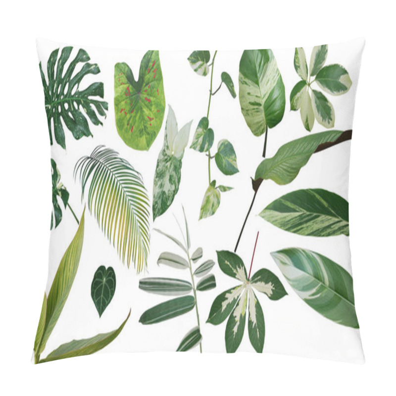 Personality  Tropical Leaves Variegated Foliage Exotic Nature Plants Set Isolated On White Background, Clipping Path With Plant Common Name Included (Monstera, Palm Leaf, Devil's Ivy, Ginger, Bamboo, Etc.).  Pillow Covers